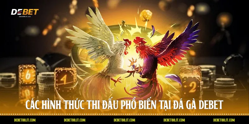 Các hình thức thi đấu phổ biến tại Đá gà DEBET