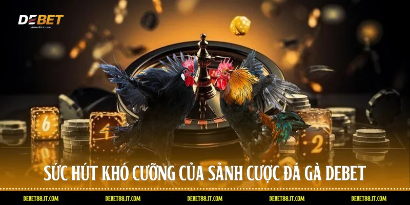 Sức hút khó cưỡng của sảnh cược Đá gà DEBET